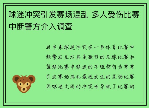 球迷冲突引发赛场混乱 多人受伤比赛中断警方介入调查